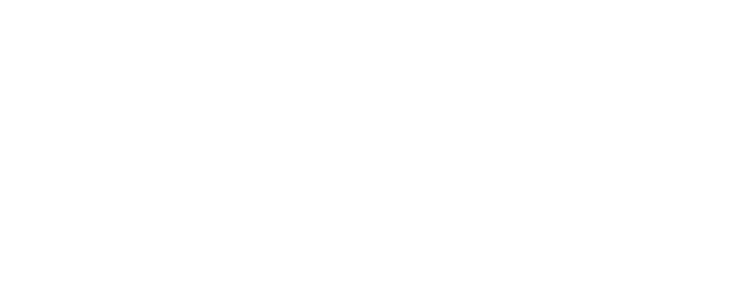 CMNSTL New Brand High Res WHITE